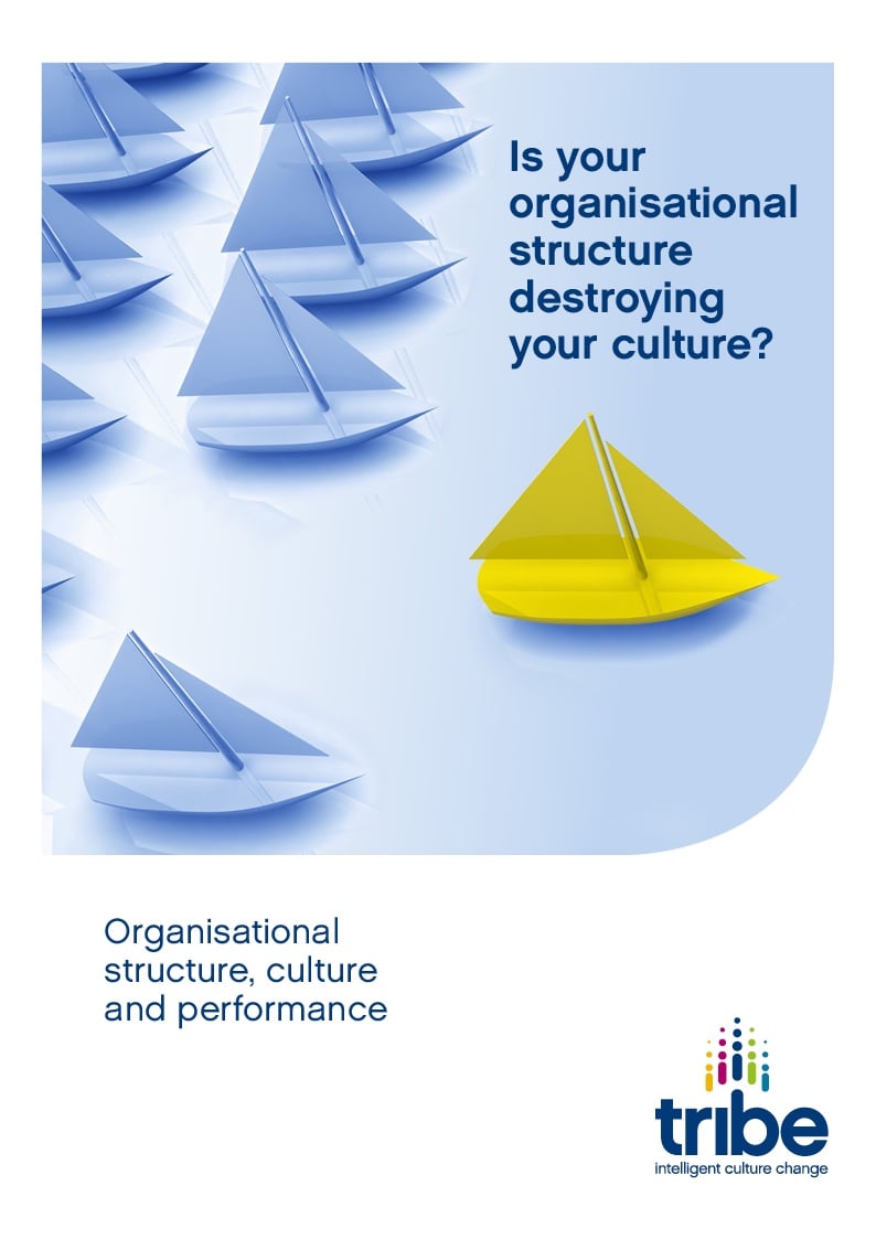 Org structure report cover